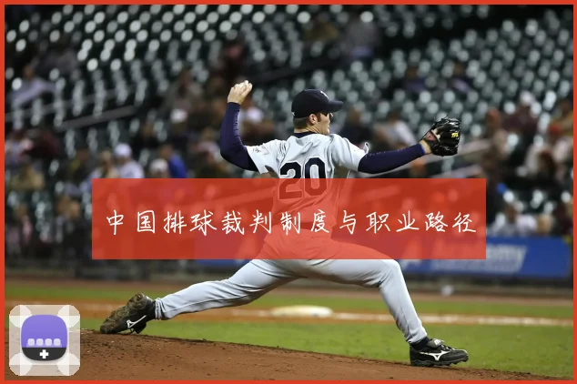 中国排球裁判制度与职业路径