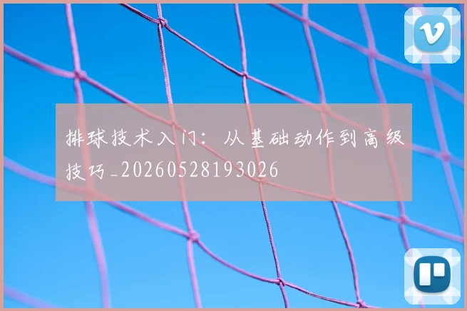 排球技术入门:从基础动作到高级技巧_20260528193026