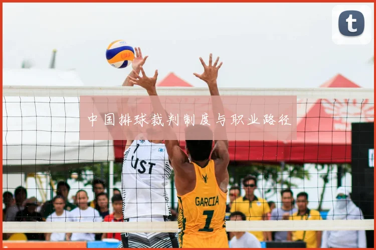 中国排球裁判制度与职业路径