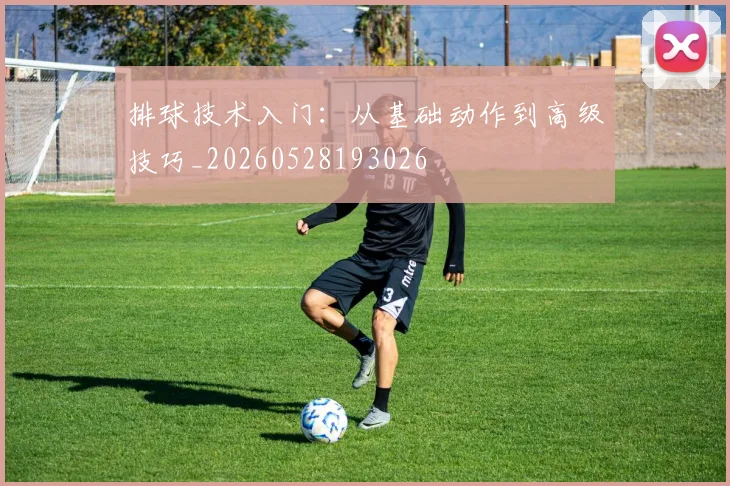 排球技术入门:从基础动作到高级技巧_20260528193026