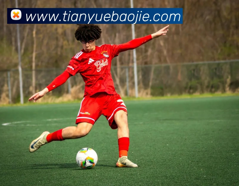 APP界面展示