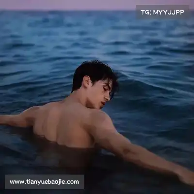 云维燕